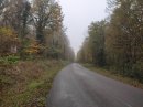 Forêt de la Rousse, D98